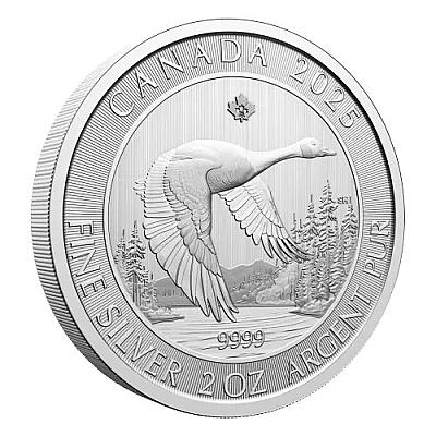 2025 2oz Canadian Goose Silver Coin front angle