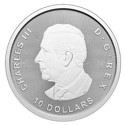 2025 2oz Bull and Bear Silver Coin back