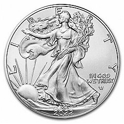 2022 1oz American Eagle Silver Coin