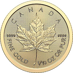 2024 1/10oz Maple Gold Coin