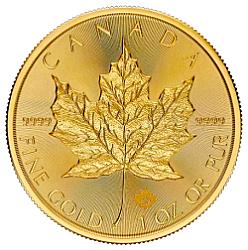 2024 1oz Maple Gold Coin