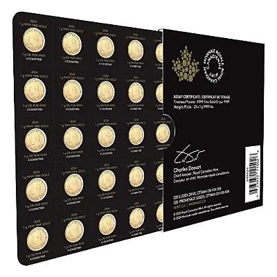 2024 25 x 1g Gold Maplegram Coins